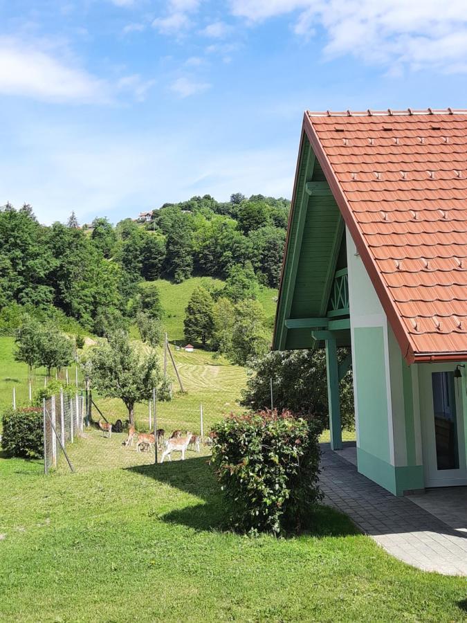 Holiday Home Neokrnjena Narava Sevnica Ngoại thất bức ảnh
