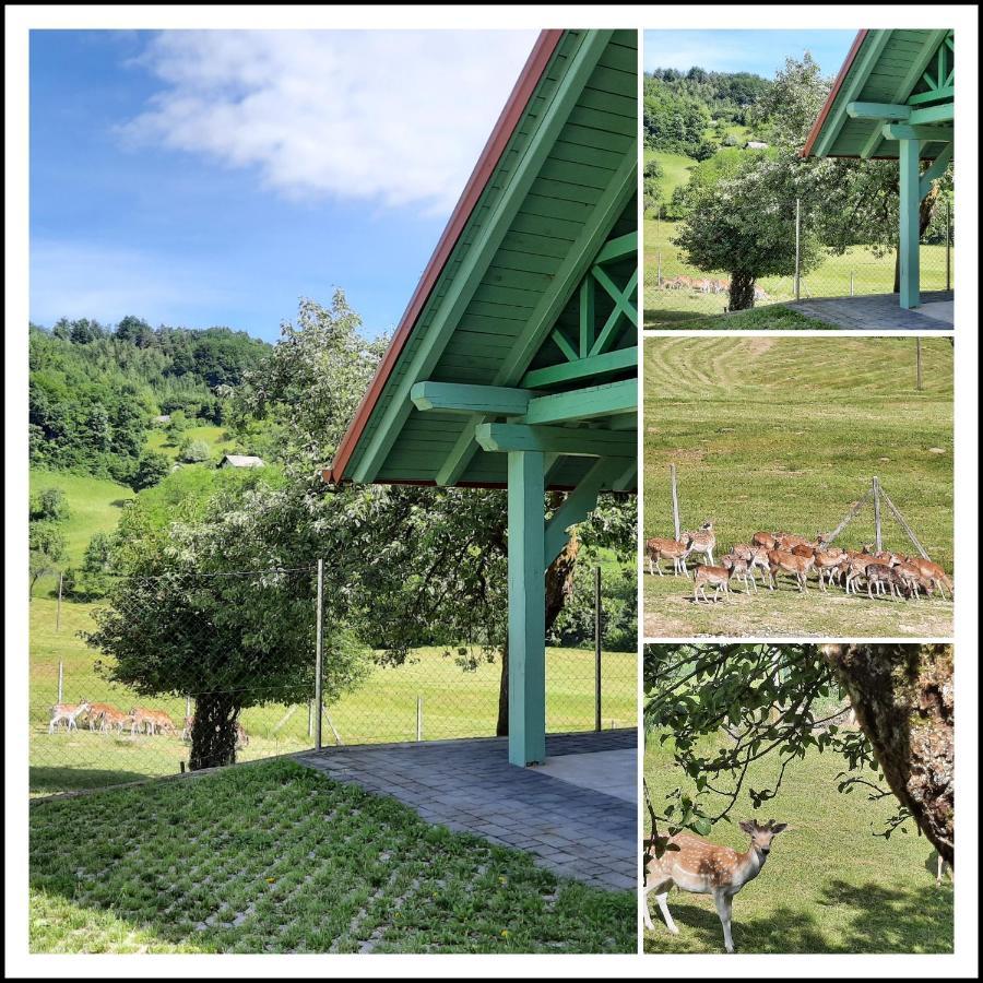 Holiday Home Neokrnjena Narava Sevnica Ngoại thất bức ảnh