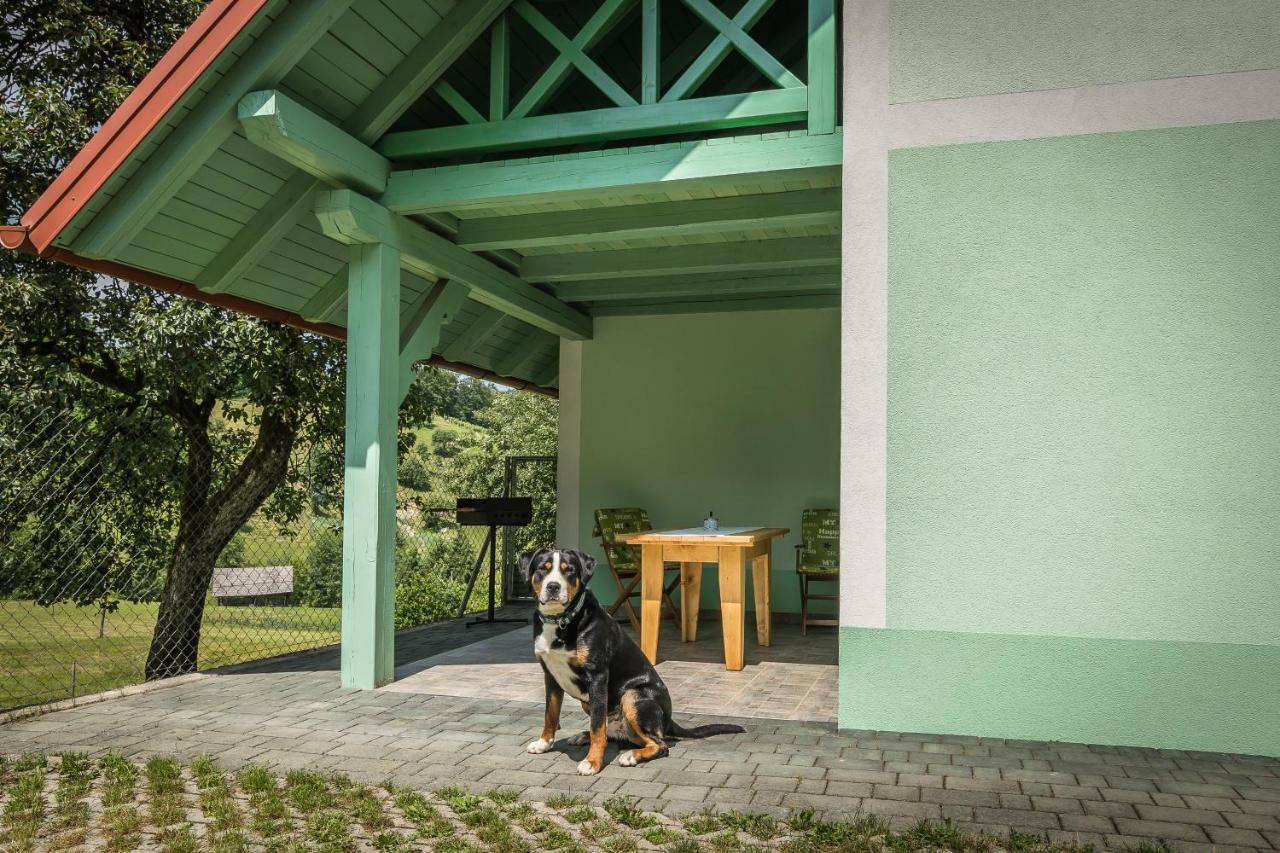 Holiday Home Neokrnjena Narava Sevnica Ngoại thất bức ảnh